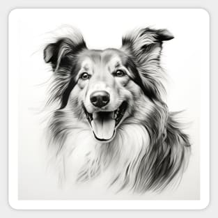 Shetland sheepdog black and white sketch portrait Sticker